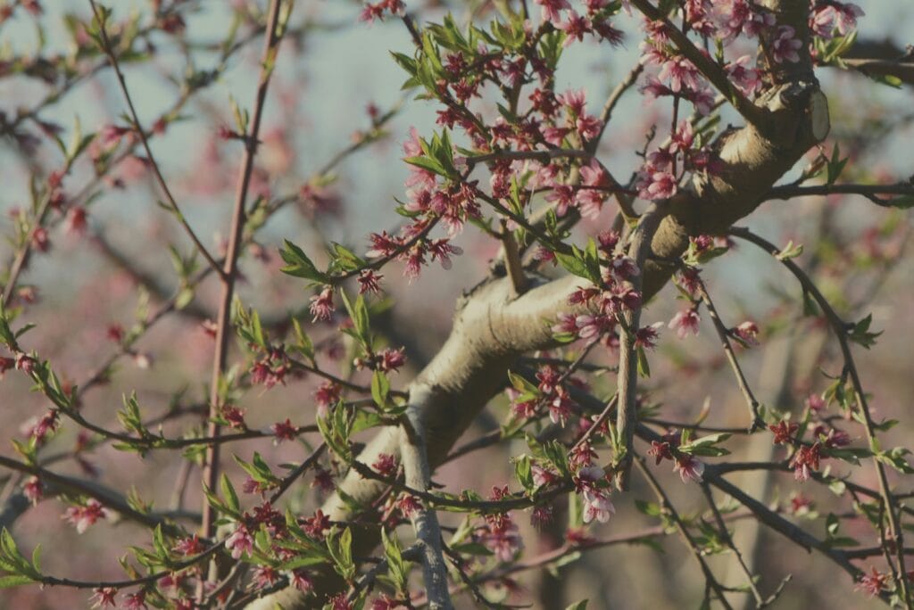 Which of the following uses of removable media is appropriate